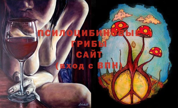 гашик Куйбышев