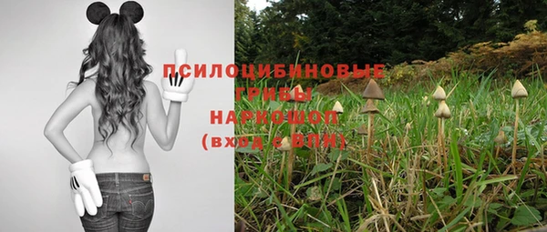 спиды Кукмор