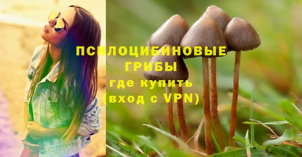 гашик Куйбышев