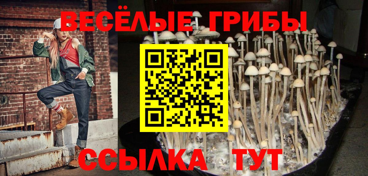 Псилоцибиновые грибы ЛСД  Сосновый Бор  Галлюциногенные грибы мицелий 