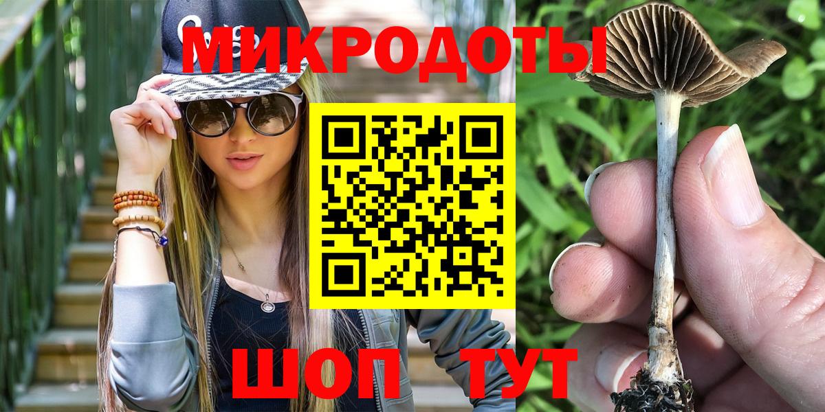 Сосновый Бор  Псилоцибиновые грибы ЛСД  Вход с VPN 