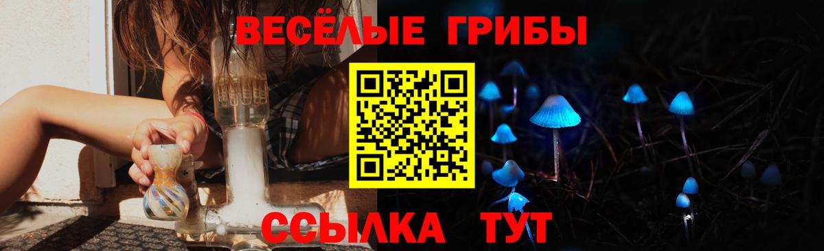 Псилоцибиновые грибы ЛСД Сосновый Бор